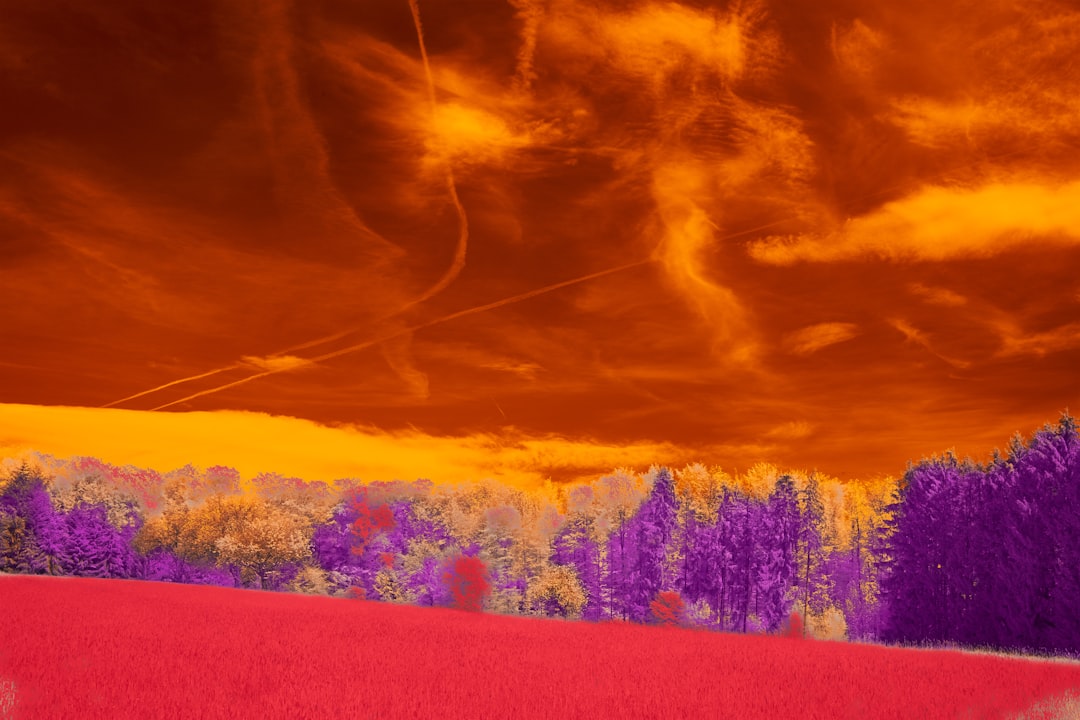 The Science Behind Radiative Forcing (Image Credits: Unsplash)