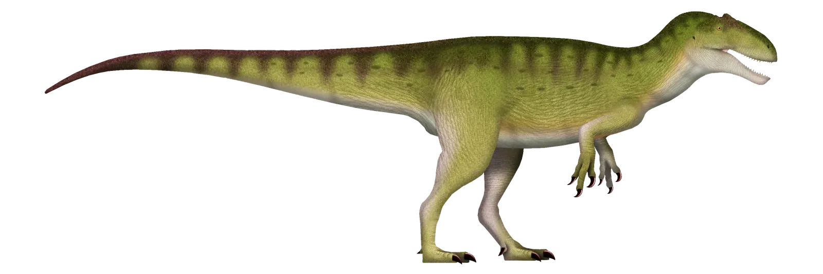 The Territorial Dominance of the Siats Personality (Image Credits: Wikimedia)