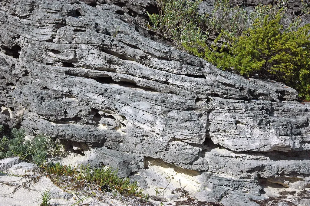 Chemical Fingerprints of Ancient Metabolisms (Image Credits: Flickr)