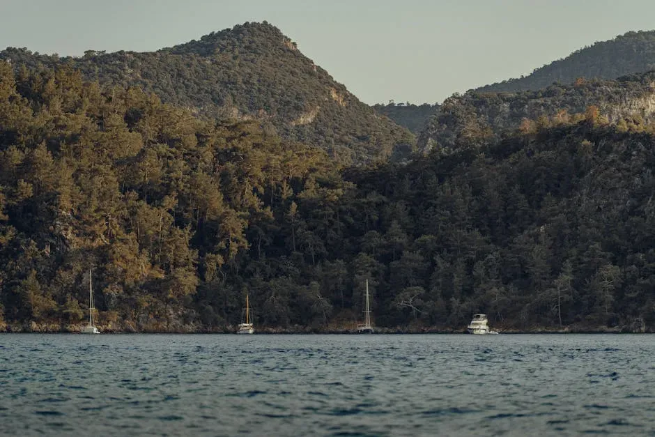 Cracking Forests, Mountains, and Coasts (Image Credits: Pexels)