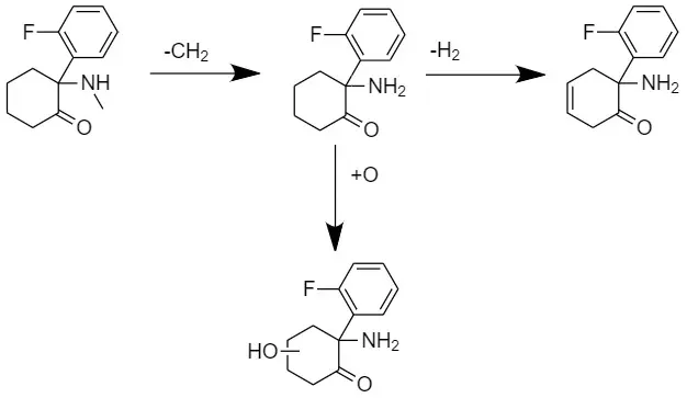 9. The Metabolism-First Model: Life as a Chemical Cycle, Not a Blueprint (By Noa Roos, CC BY-SA 4.0)