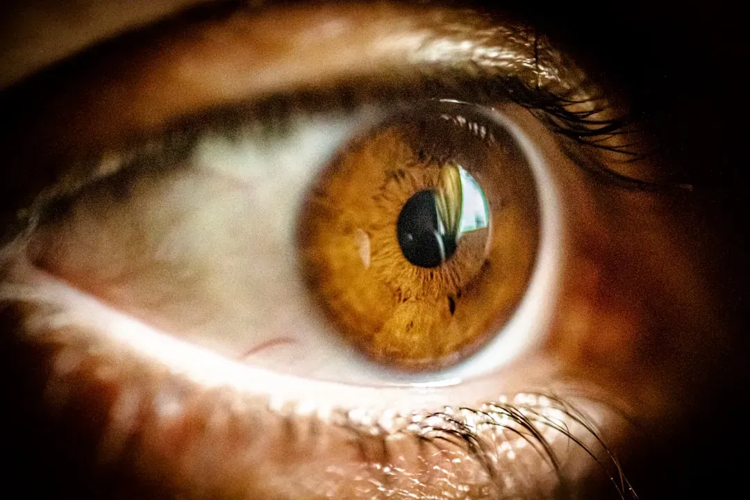 1. Your Vision Was Built for Survival, Not Accuracy (Image Credits: Unsplash)