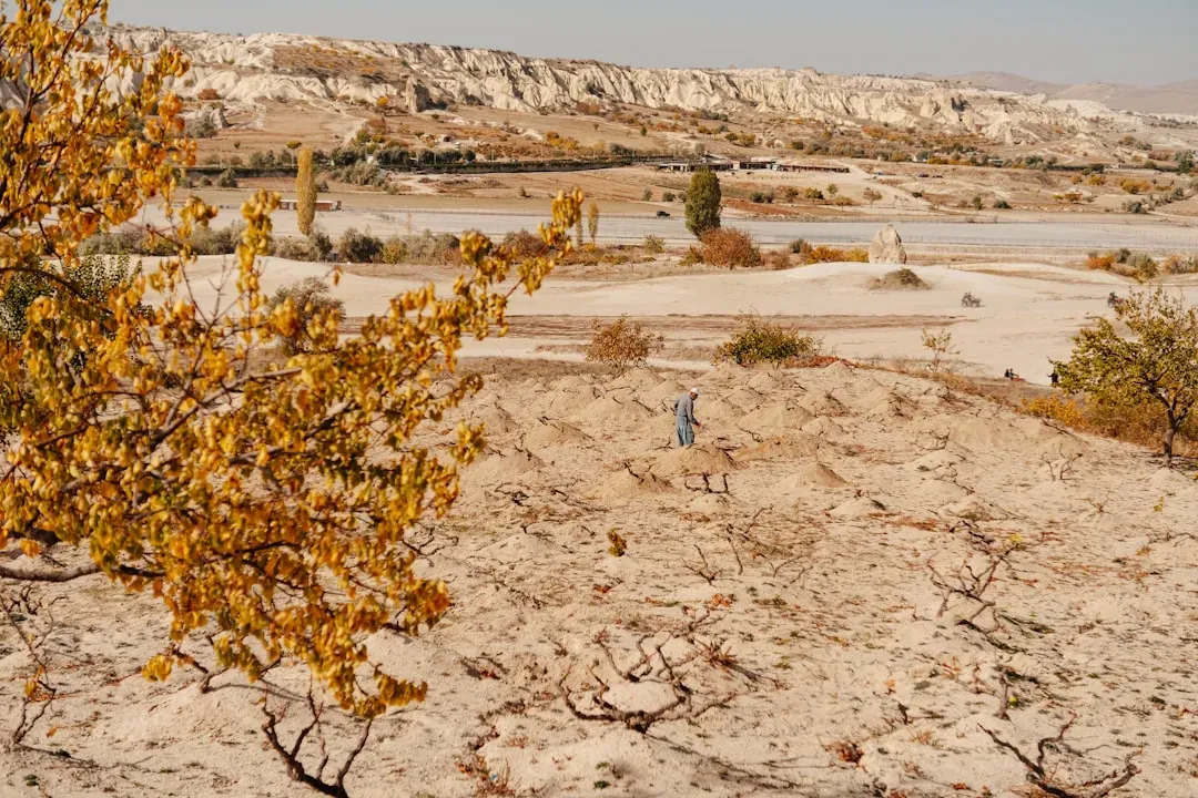 The Mesozoic Legacy in Your Modern World (Image Credits: Unsplash)