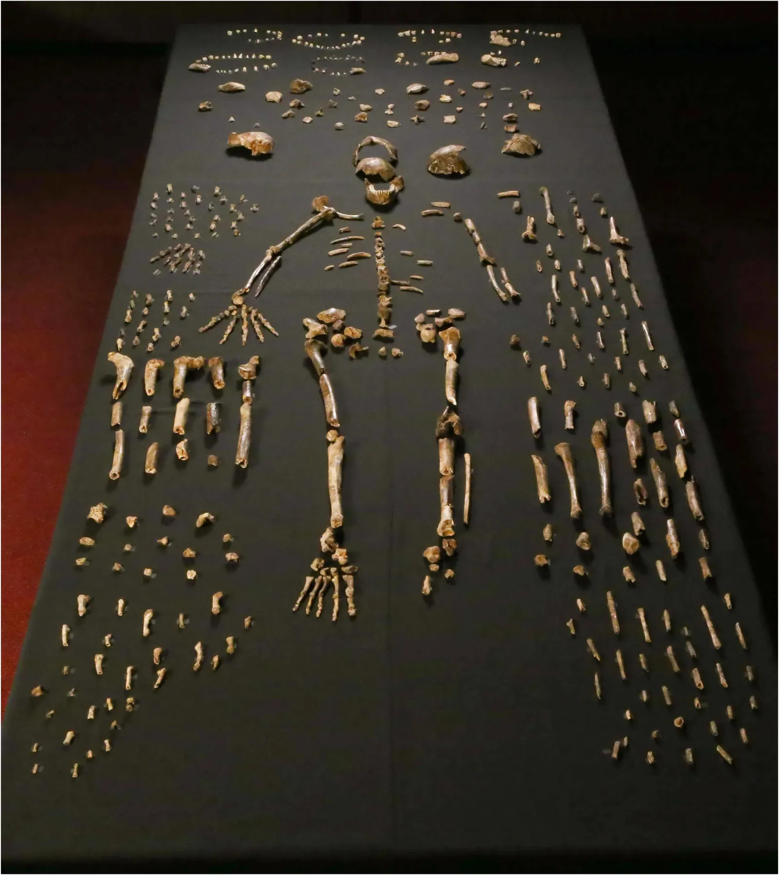 #3 - The Ancient Humans Who May, or May Not, Have Buried Their Dead (By Lee Roger Berger research team, CC BY 4.0)