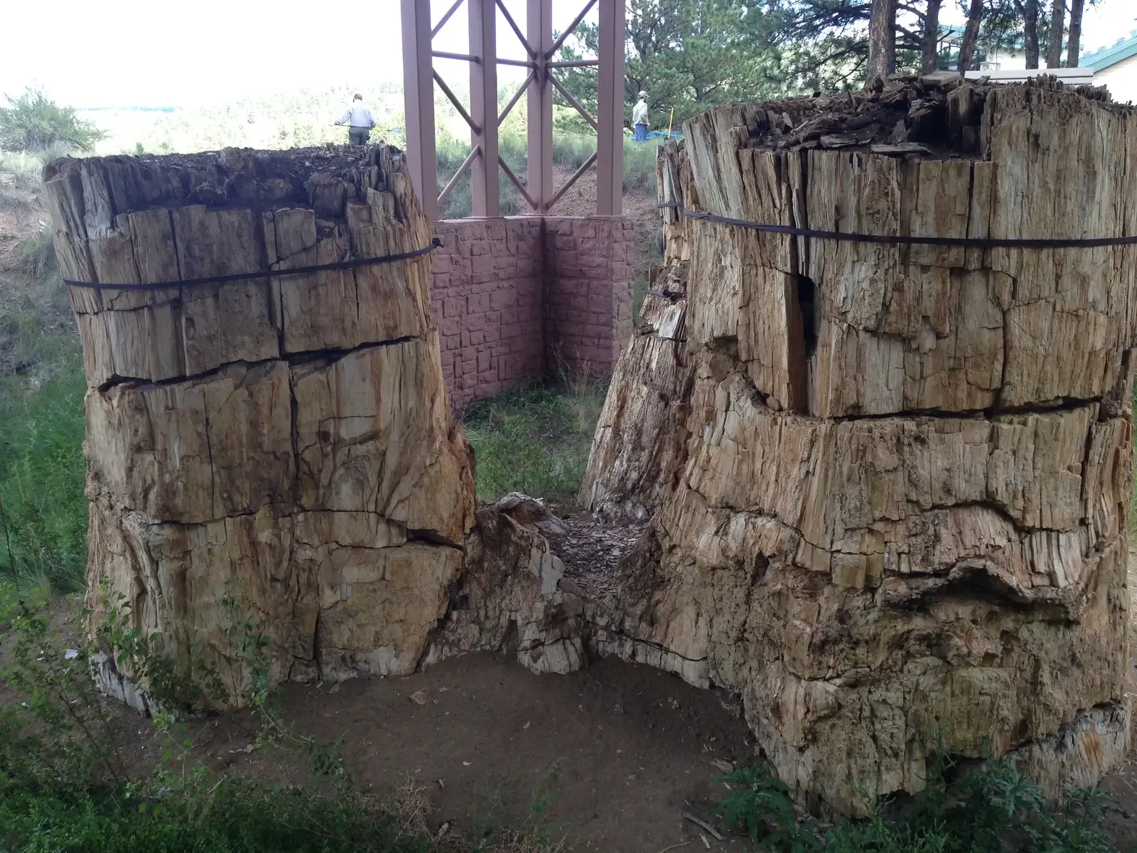 4. Florissant Fossil Beds National Monument, Colorado – A Buried Lake Of Insects And Giant Stumps (By Fredlyfish4, CC BY-SA 3.0)