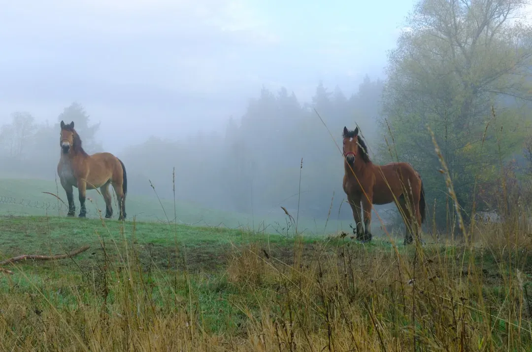 10. Early Horses – Tiny Equines in Your Ancient Forest (Image Credits: Unsplash)