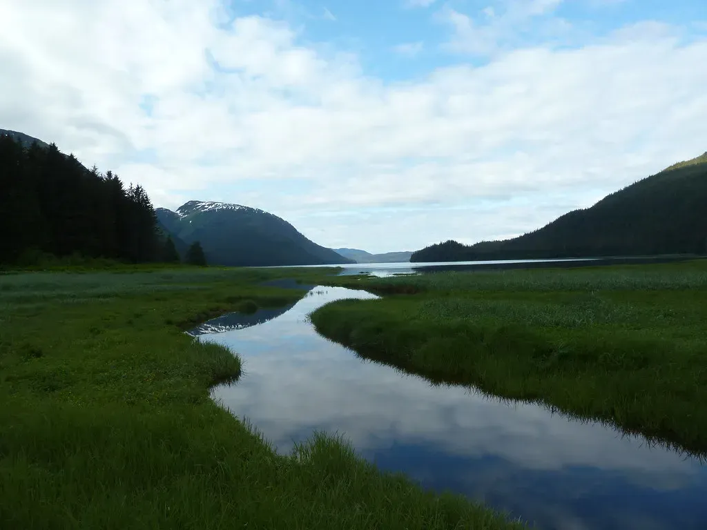 Tongass Rivers Deliver More Carbon Than the Amazon (Image Credits: Flickr)