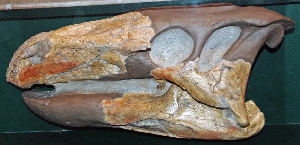 3. Forgotten Dinosaurs in Drawers and Crates (James St. John, Flickr, CC BY 2.0)