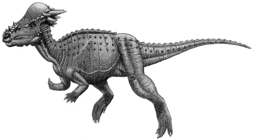 Stygimoloch: Demon from the River of the Dead (PaleoPortfolio, CC BY-SA 2.5)