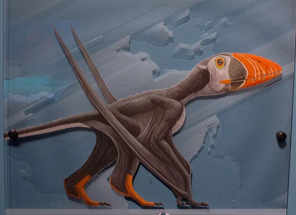 Dimorphodon: The Small but Mighty Hunter (Image Credits: Flickr)