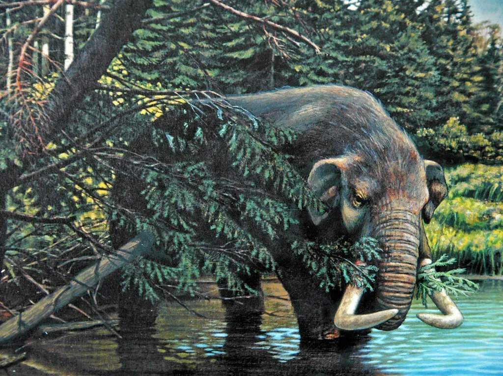 American Mastodon: The Ancient Elephant Cousins (Image Credits: Flickr)