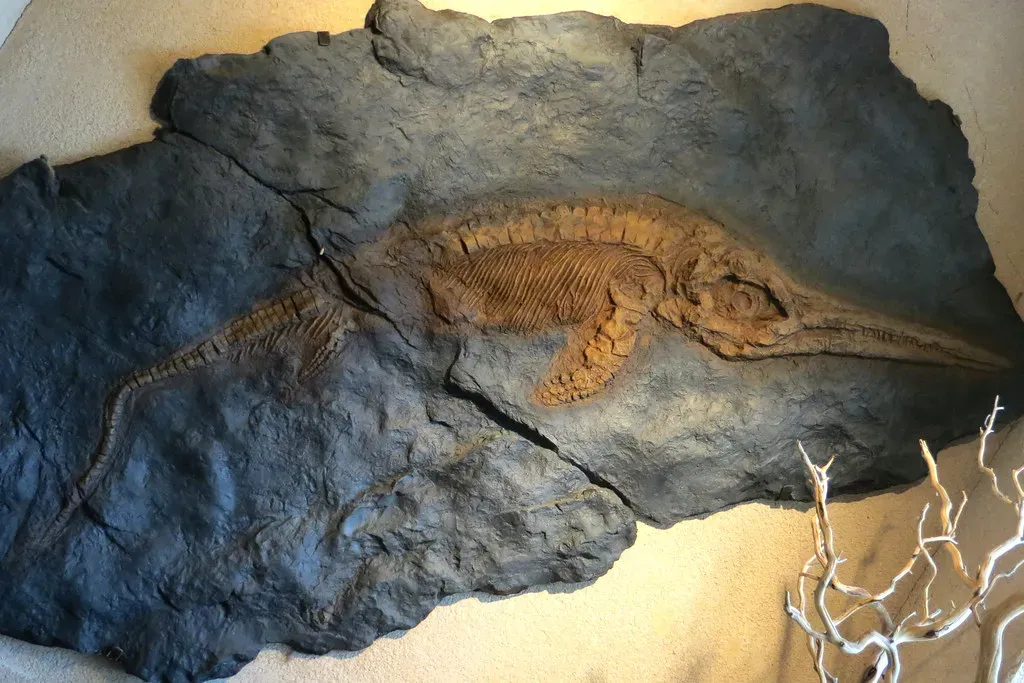 The Rise and Fall of Marine Reptile Dynasties (Image Credits: Flickr)