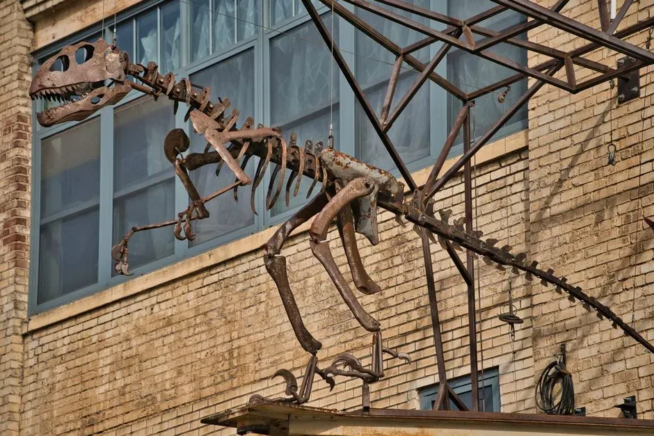 Rebuilding a Skeleton Is Like Remodeling a Cathedral (Image Credits: Pexels)