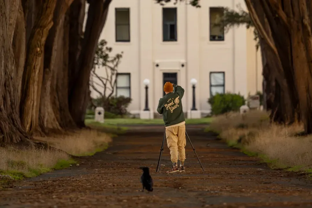 7. Walk Your Way to Creative Breakthroughs (Image Credits: Unsplash)