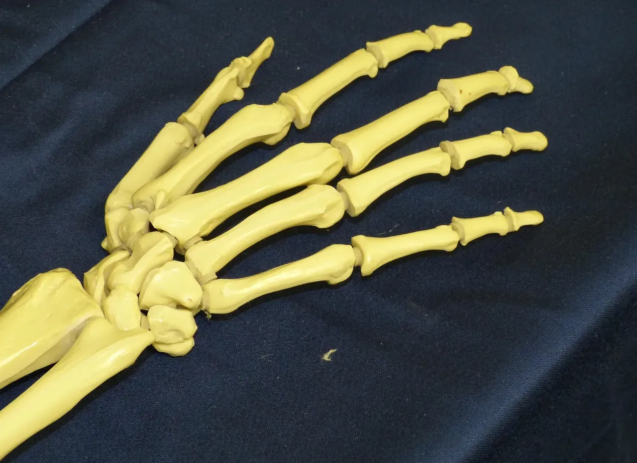 #1 - A Single Finger Bone Rewrote the Human Family Tree (Image Credits: Pixabay)