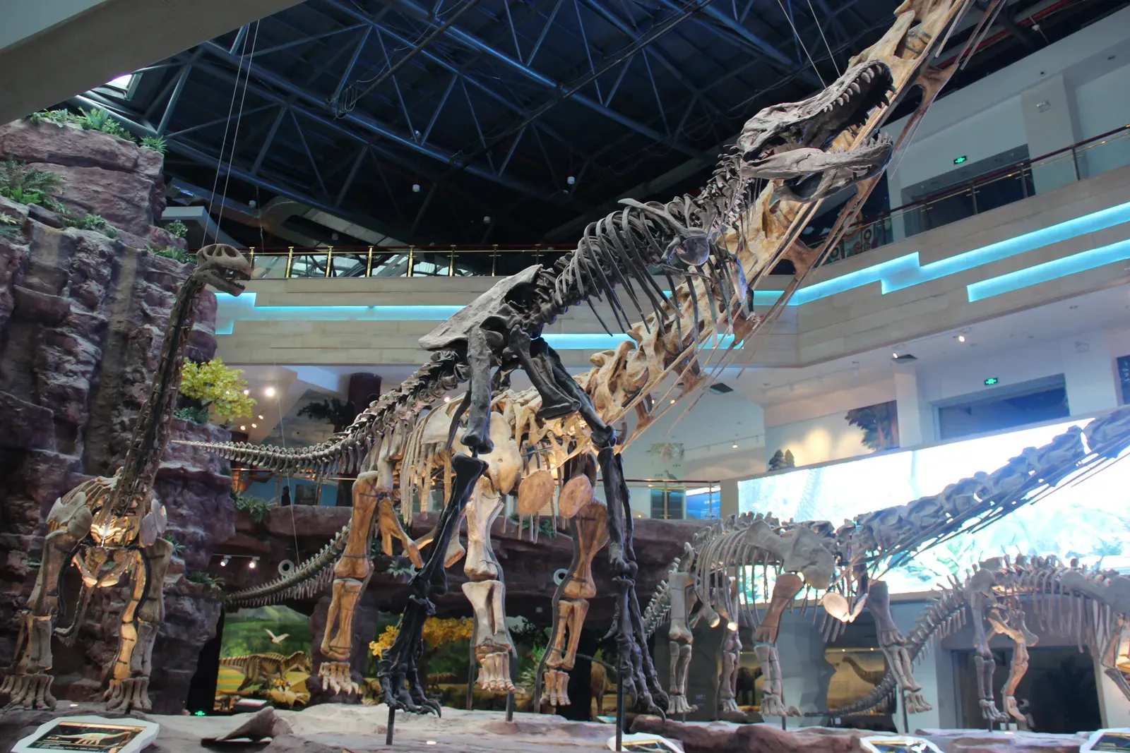 #11 - Manospondylus gigas (Tyrannosaurus Rex Skeleton, CC0)