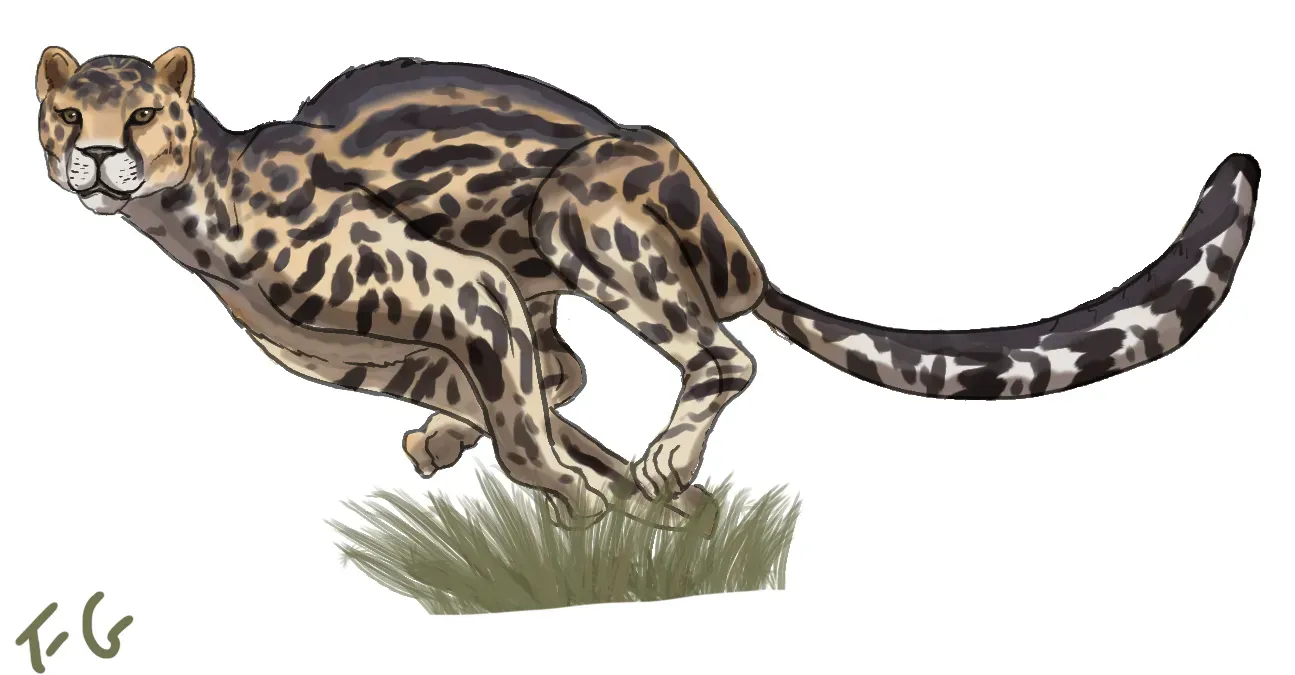 The Mystery of the American “Cheetah” and What It Means for Pronghorn (By Spinosaurid, CC BY 4.0)