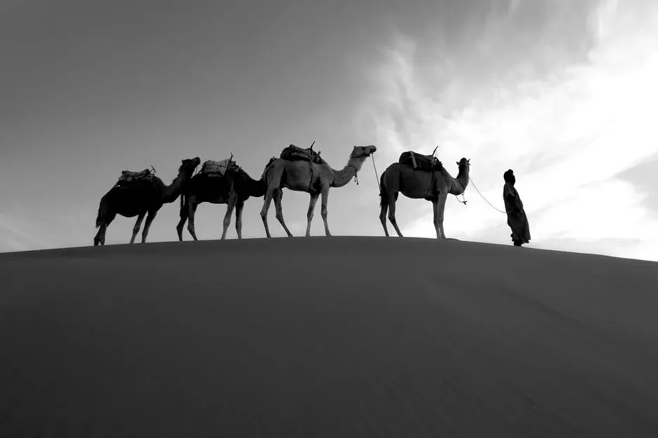 Gemini – The Lively Messenger in Trade and Caravan Cultures (Image Credits: Pexels)