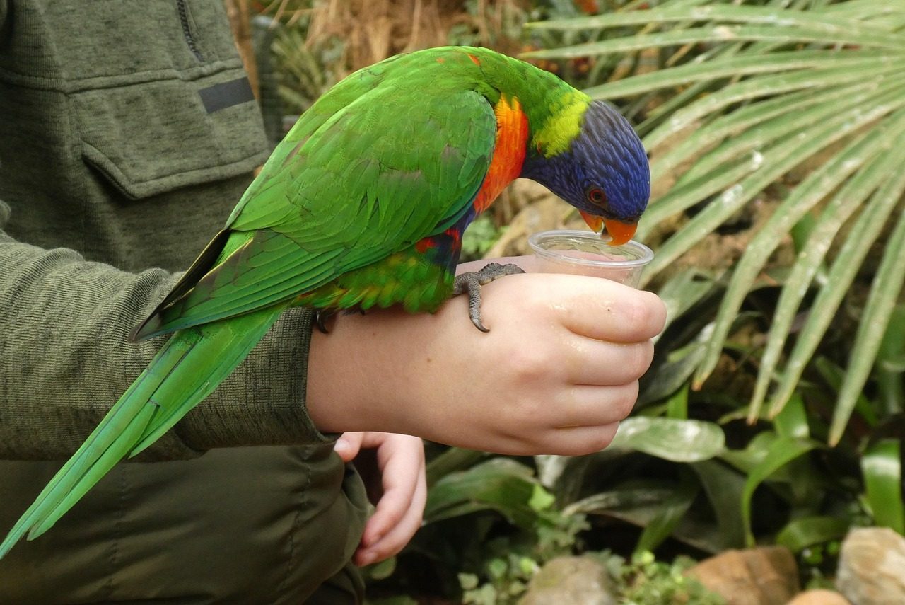 It Mirrors Your Current Emotional State (Image Credits: Pixabay)