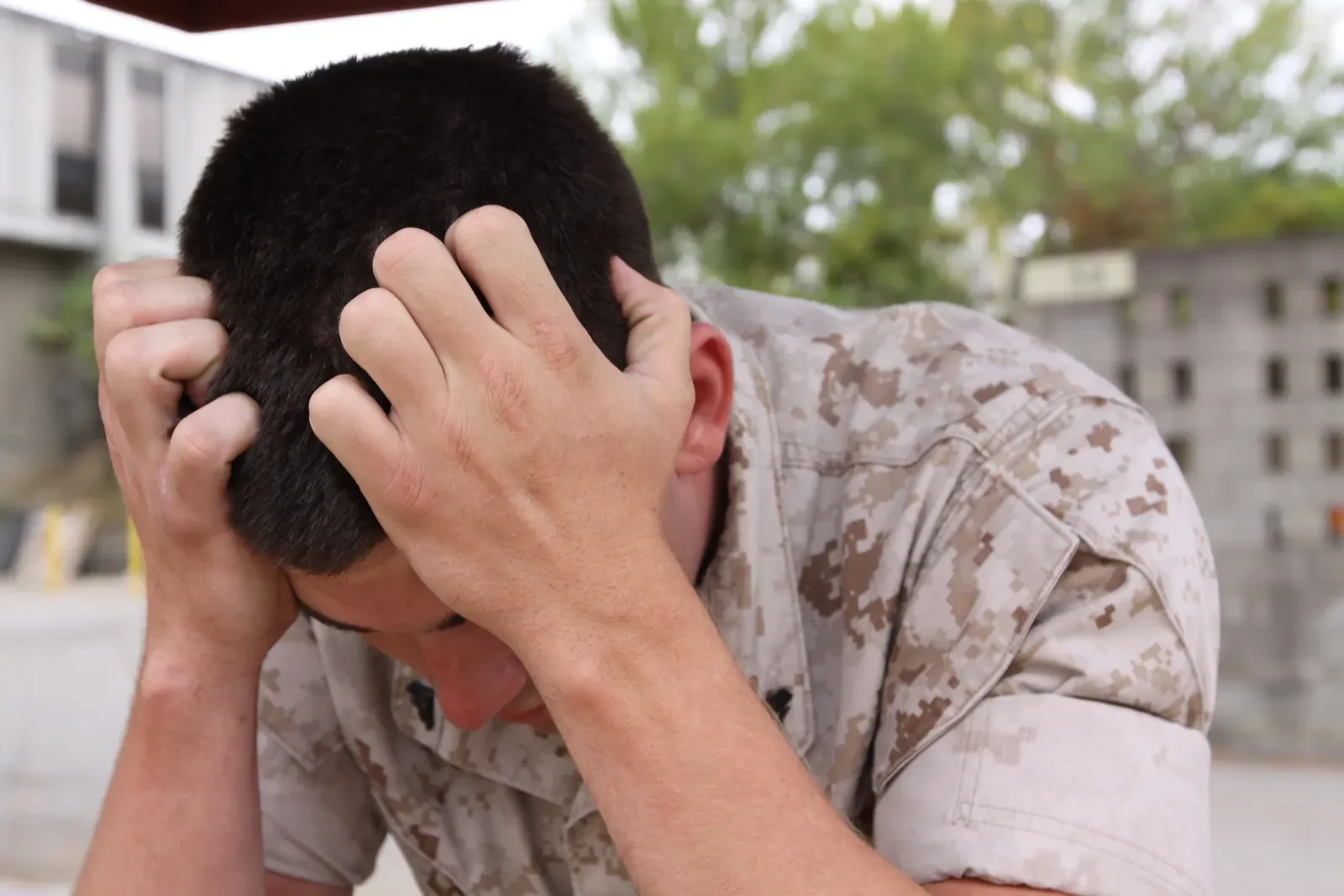 Your Brain Works Overtime Processing Everything (Image Credits: Wikimedia)