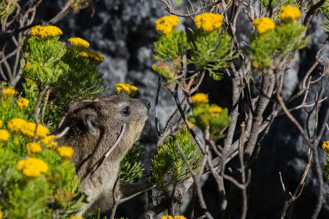 7. Flowering Plants Helped Fuel the Mammal Takeover (Image Credits: Unsplash)