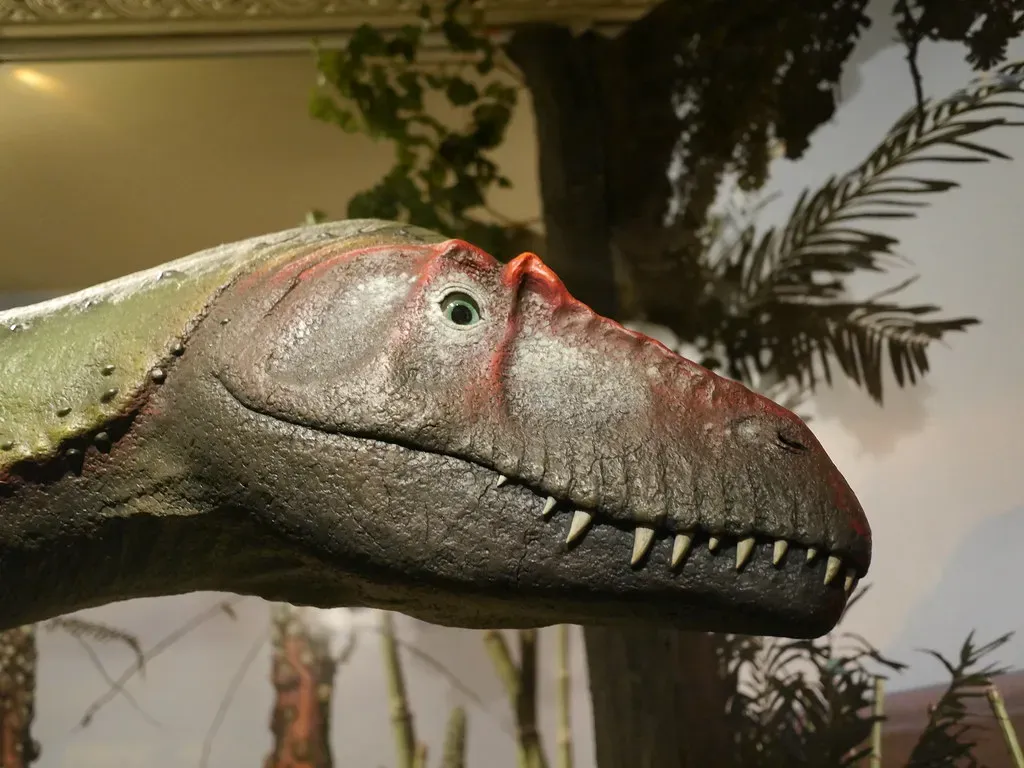 Cannibalistic Tendencies Among Predators (Image Credits: Flickr)