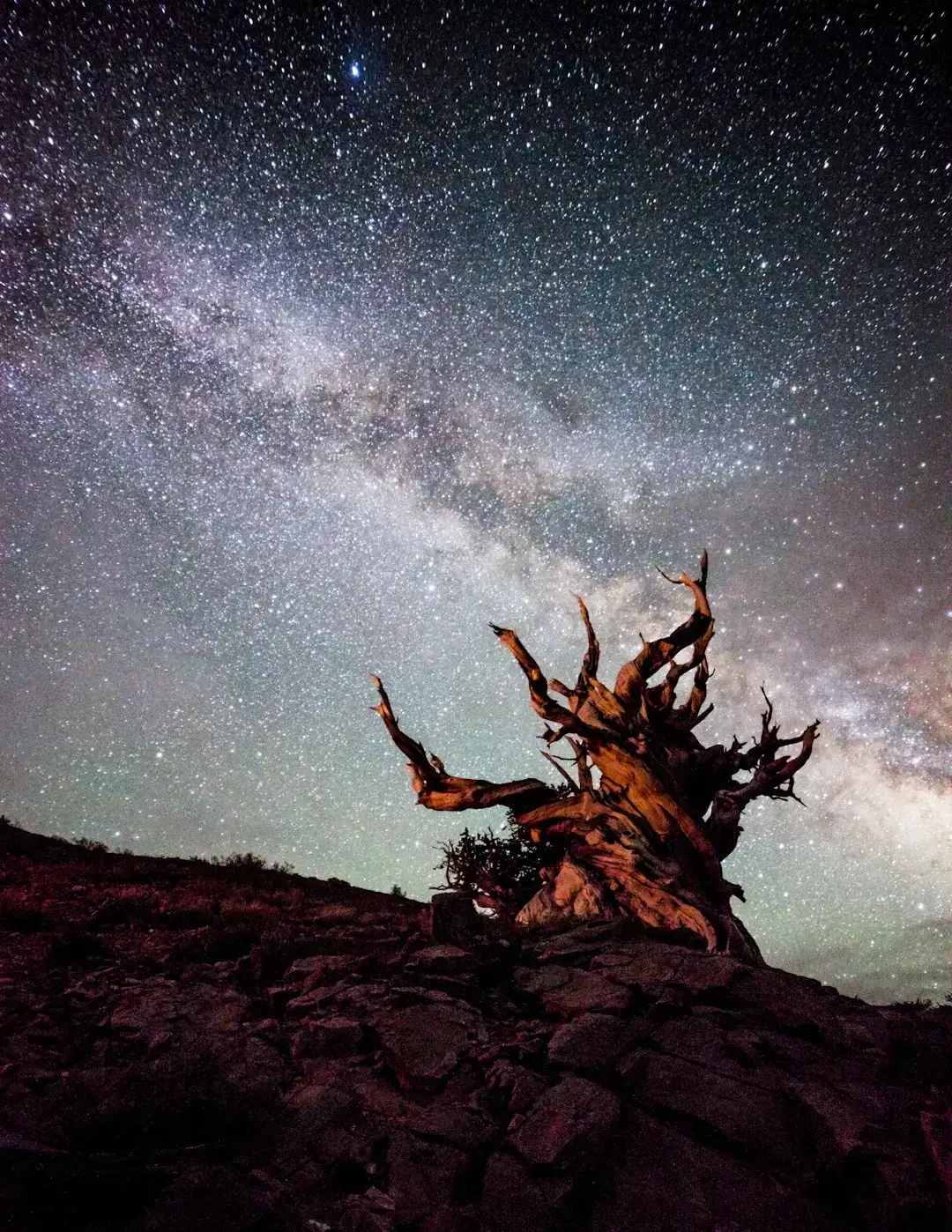 2. A Night Sky With No Familiar Constellations (Image Credits: Unsplash)