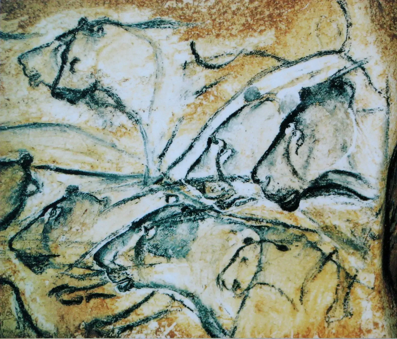 Lions, Bears, and the Dark Edge of Power: The Shadow Side of Fire Signs (Self-photographed, Public domain)