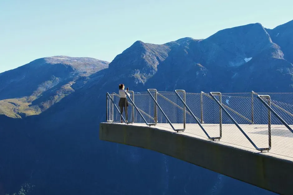 Beyond Predators: How Elevated Views Shape Modern Decisions (Image Credits: Pexels)