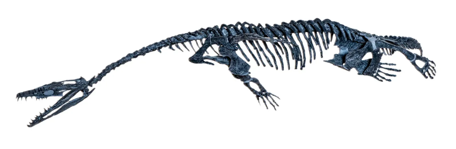 7. Nothosaurus: The Bridge Between Land and Sea (Matteo De Stefano/MUSEThis file was uploaded by MUSE - Science Museum of Trento in cooperation with Wikimedia Italia., CC BY-SA 3.0)