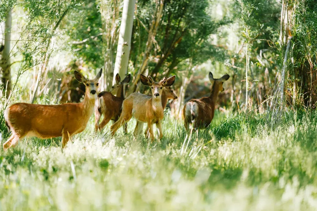 #7 - How Many Species Actually Live on Earth? (Image Credits: Unsplash)