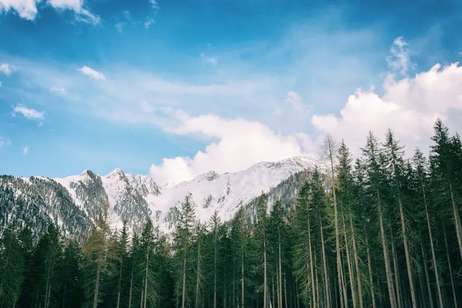 Capricorn – High-Altitude Mountain Conifer Forest (Image Credits: Pexels)