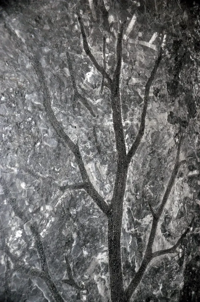 The Gilboa Forest: A Stone-Frozen Devonian Woodland (James St. John, Flickr, CC BY 2.0)