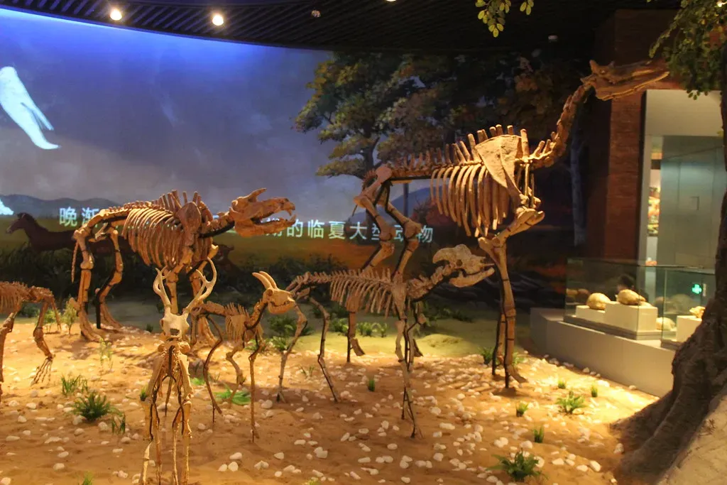 A Lost World Beneath Our Feet (Image Credits: Flickr)