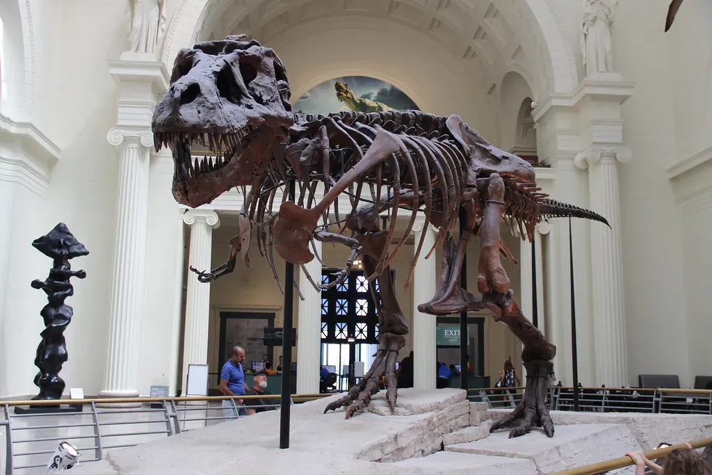 Sue the T. rex: A Battle Over Bones and Dollars (Image Credits: Flickr)