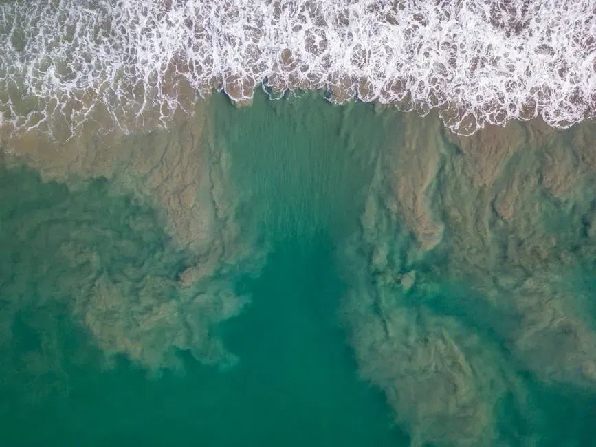 #11 - The Ocean Suffocation Event of the Cretaceous (Image Credits: Pexels)