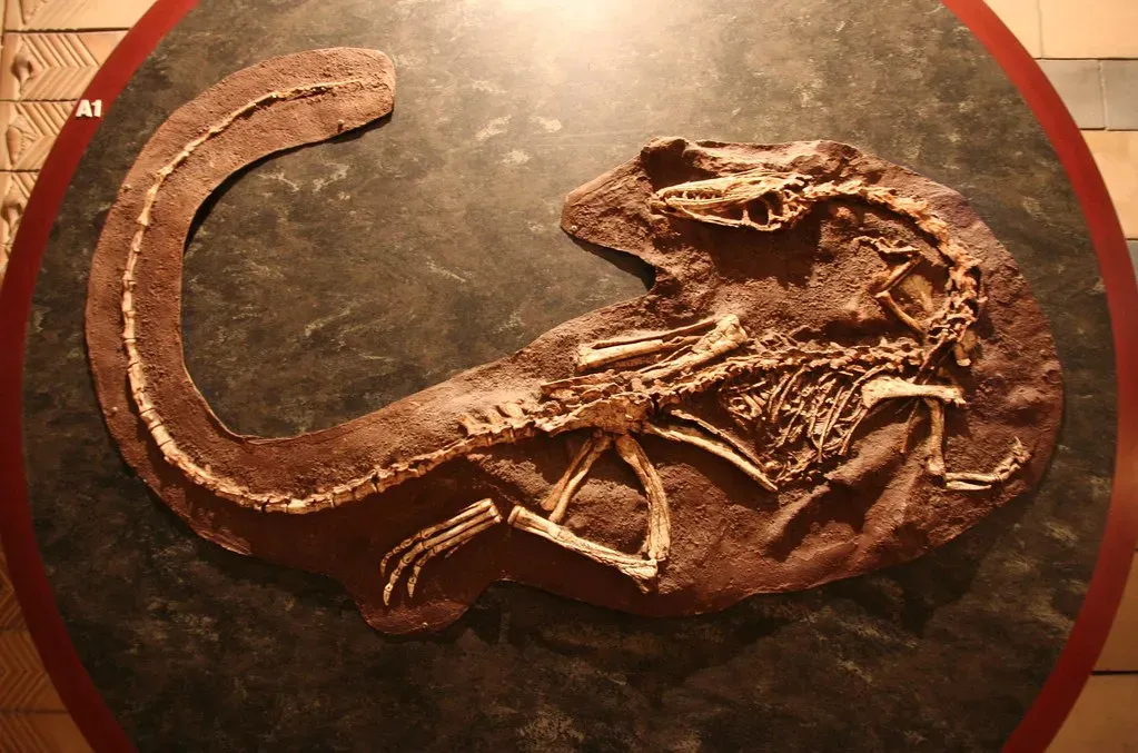 Conclusion: The Evidence Is Real, But the Interpretation Is Everything (Brendan J., Flickr, CC BY 2.0)