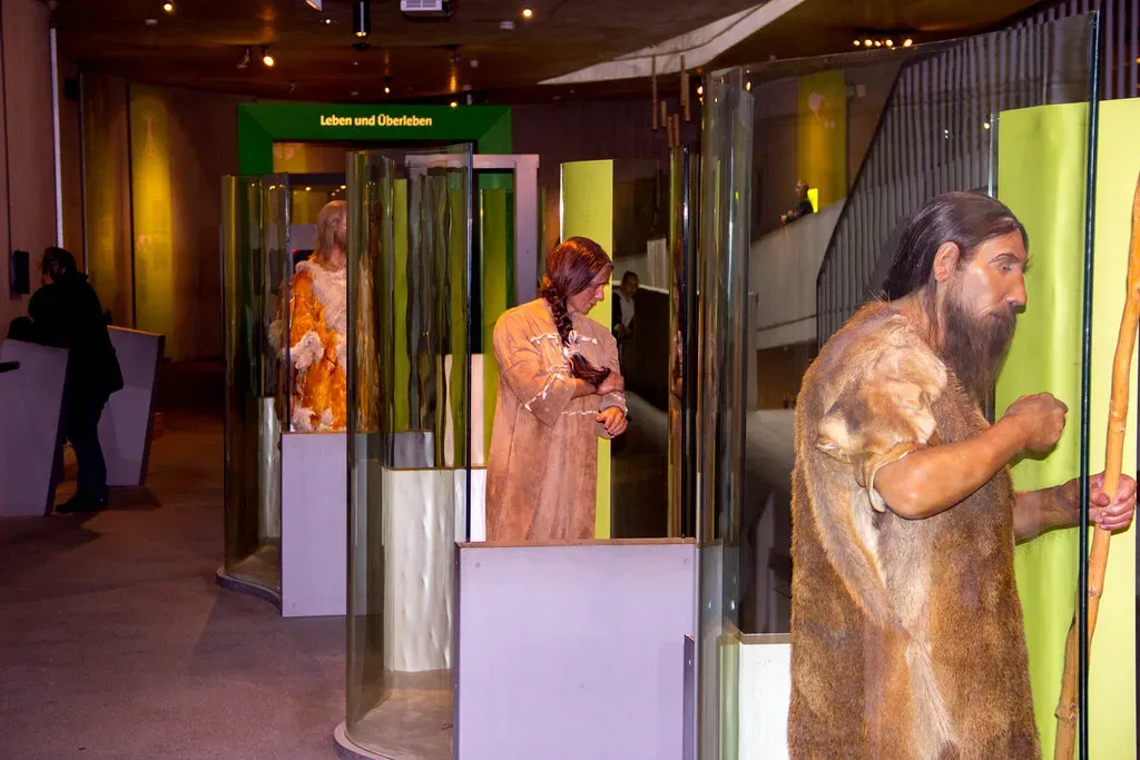 5. Neanderthals Were Social, Caring, and Sometimes Tender (Clemens Vasters, Flickr, CC BY 2.0)