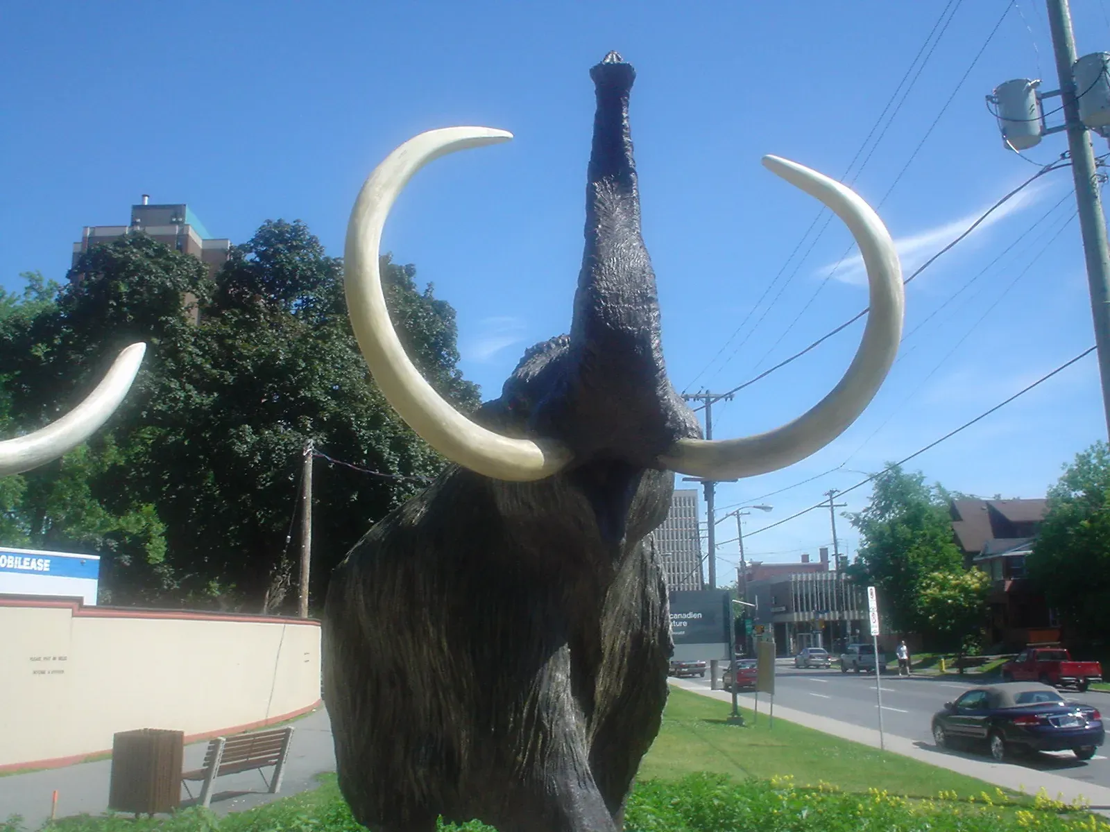 #2 - Every Phone in the Field Would Be Recording Within Seconds (Woolly Mammoth Rampage, CC BY 2.0)