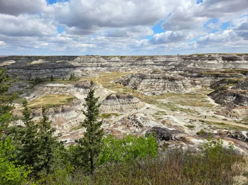 Why early land was eerily quiet - and why that matters (Image Credits: Pexels)