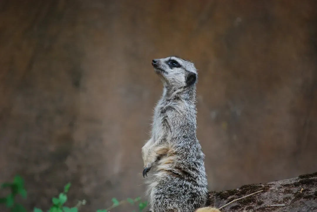 Your Gut Instincts Are Eerily Accurate (Image Credits: Unsplash)