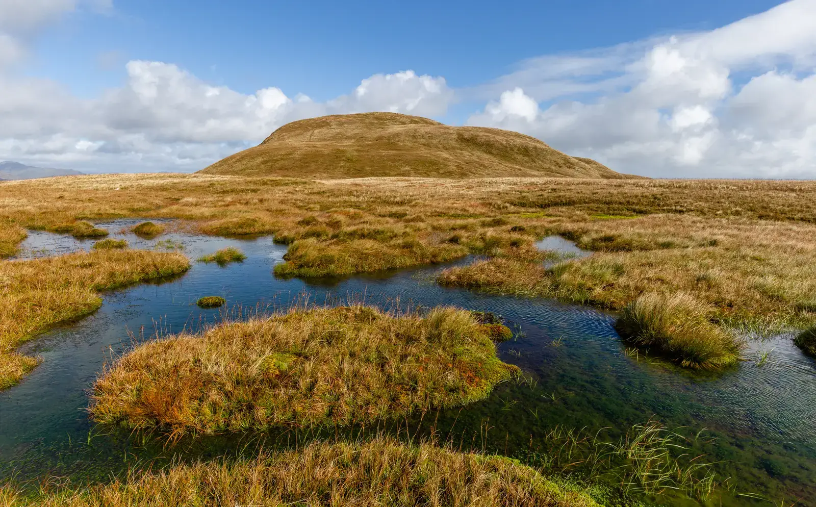 #10 Lakes, Marshes, and Peat: Valleys as Water Hoarders (By Michal Klajban, CC BY-SA 4.0)