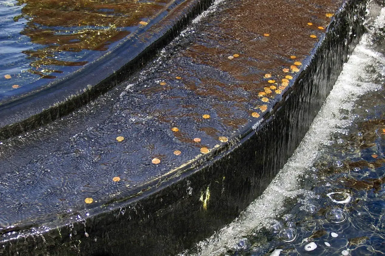 Tossing Coins Into Fountains: Ancient Offerings Disguised as Wishes (Image Credits: Pixabay)