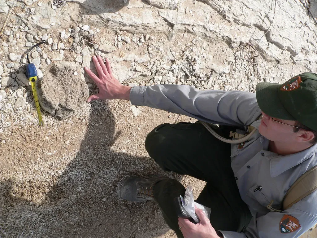 Tracking Footprints: What the Evidence Tells You About Coexistence (Image Credits: Flickr)