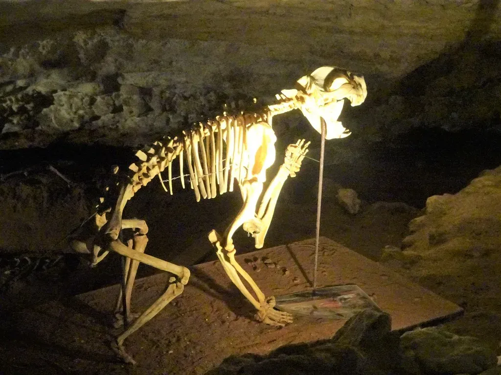 Mass Megafauna Extinctions Eliminated Iconic Species (Image Credits: Flickr)