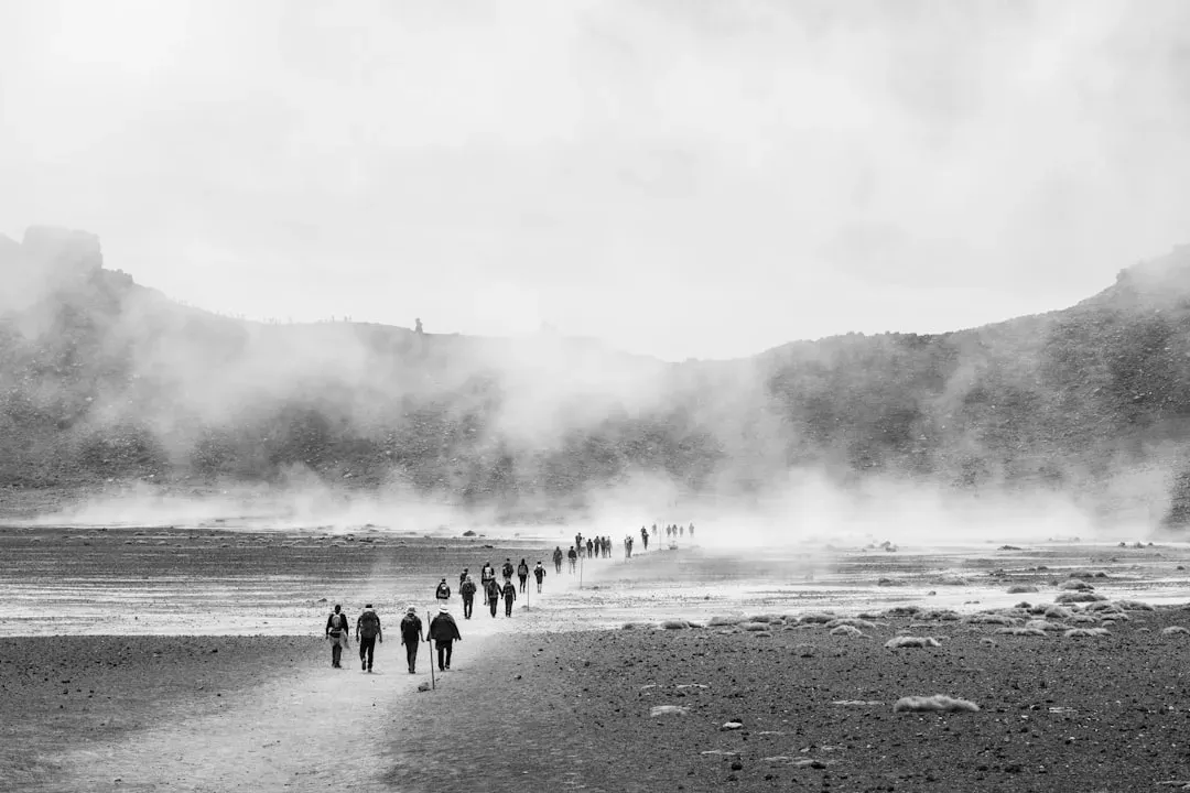 Following the Herds: Migration, Routes, and Early Networks (Image Credits: Unsplash)