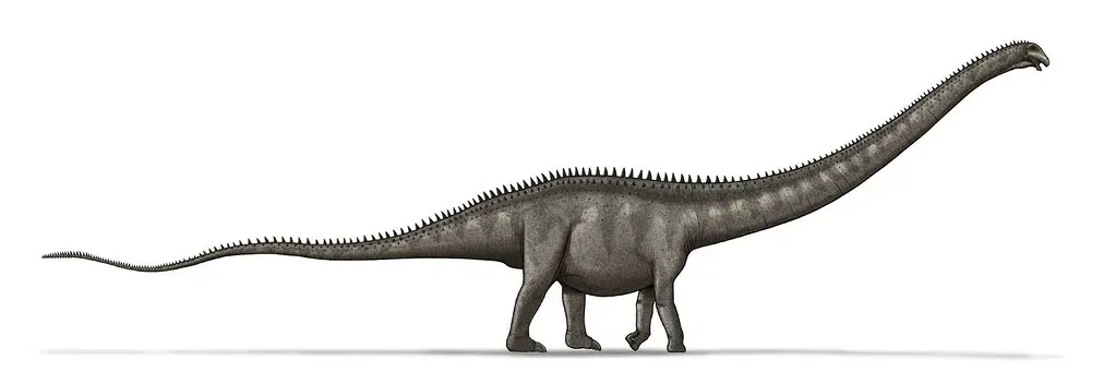 8. Foot Pad Evolution and the Physical Architecture of Giants (Zachi Evenor, Flickr, CC BY-SA 2.0)