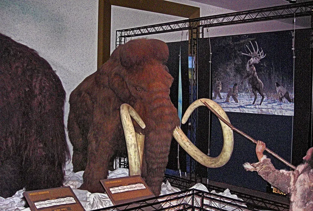 How Do You Hunt Something That Big? Strategy Over Strength (Jim Linwood, Flickr, CC BY 2.0)