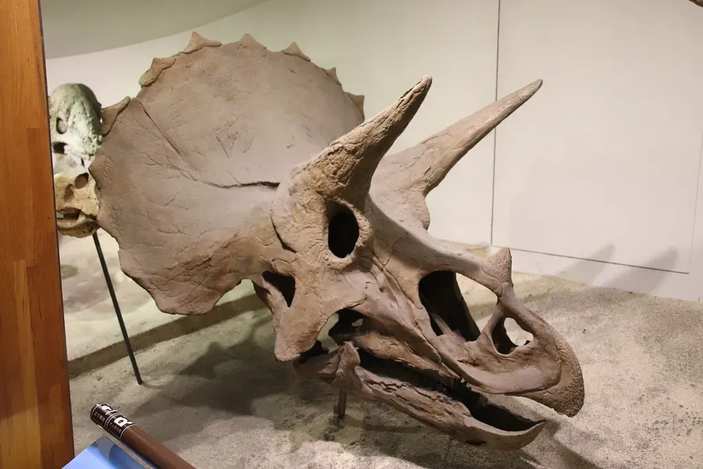 The Skull as a Cooling Machine (Image Credits: Flickr)