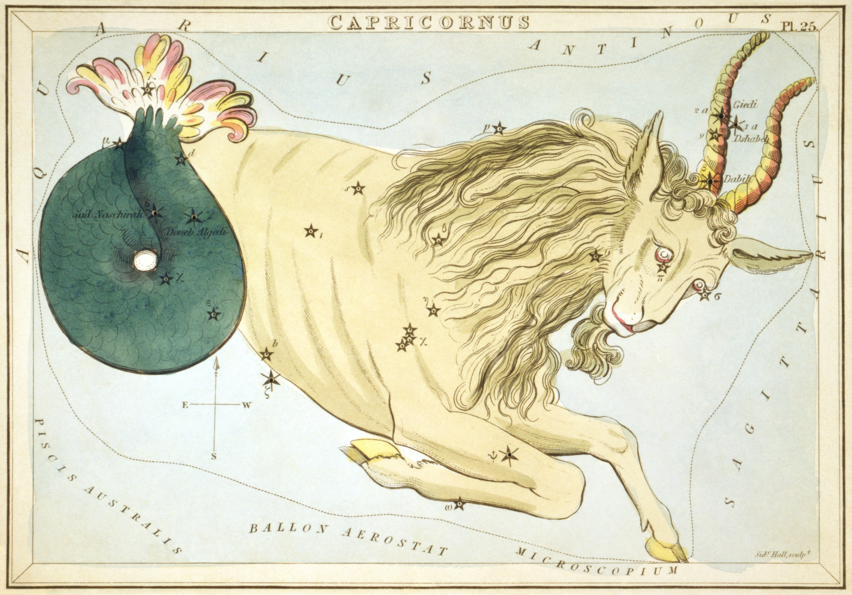 Capricorn: The Karmic Guardian Born with Saturn's Lessons (Image Credits: Wikimedia)